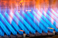 Elsing gas fired boilers